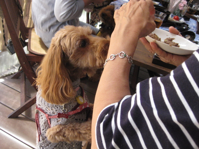 c0134645_2274117.jpg