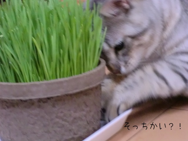 c0259945_7545762.jpg