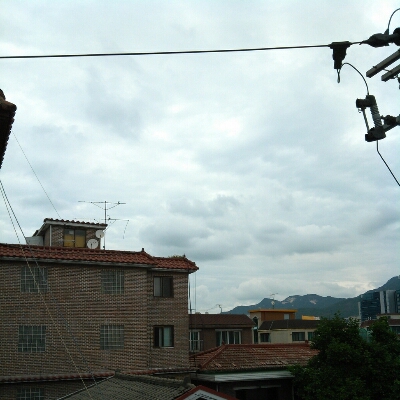 b0045267_13123555.jpg