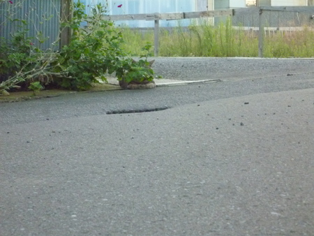 c0266868_11391098.jpg