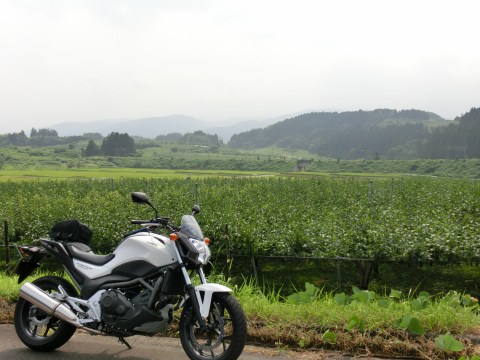 e0045768_22291018.jpg