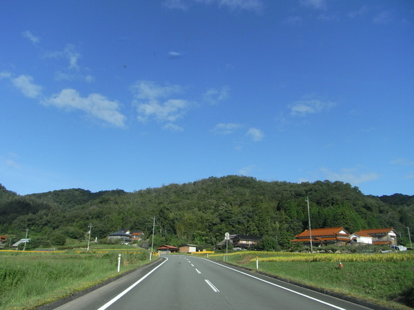 a0146070_4524276.jpg