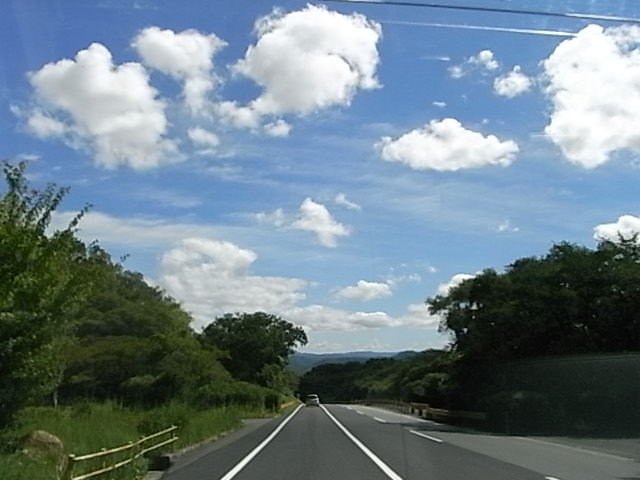 a0146070_4581827.jpg