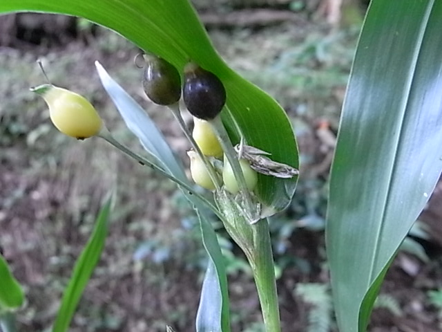 a0146070_5303141.jpg