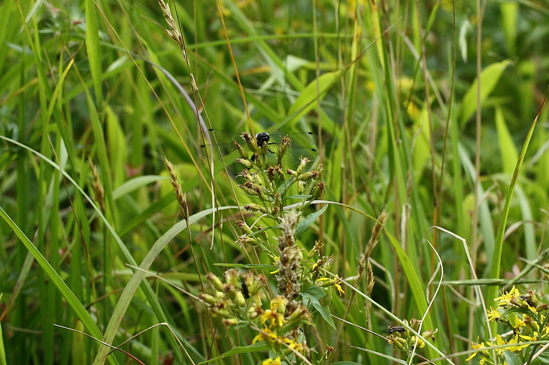 e0249878_0151561.jpg