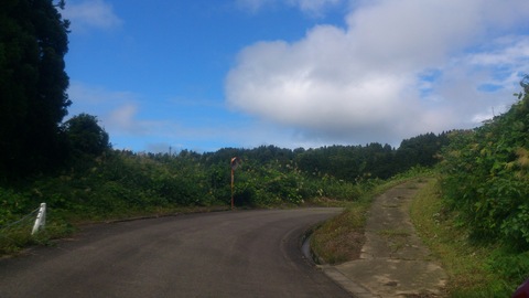 d0182179_19175989.jpg