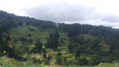 d0182179_19185754.jpg