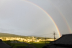 a0154388_16452019.jpg