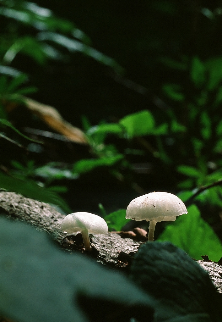 f0220698_0112775.jpg