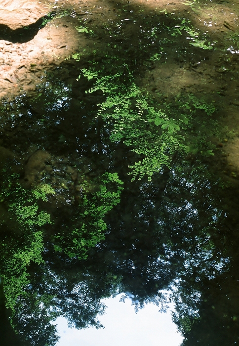 f0220698_0151313.jpg