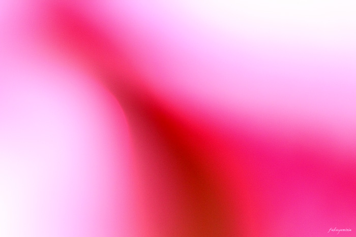 f0185802_27825.jpg