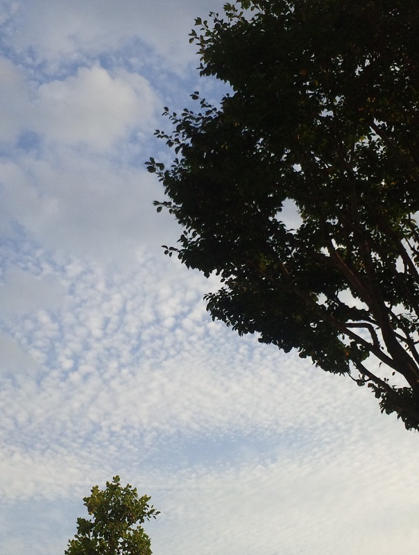b0199924_1341312.jpg