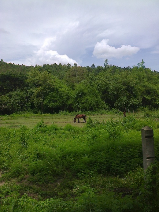 e0268325_06783.jpg