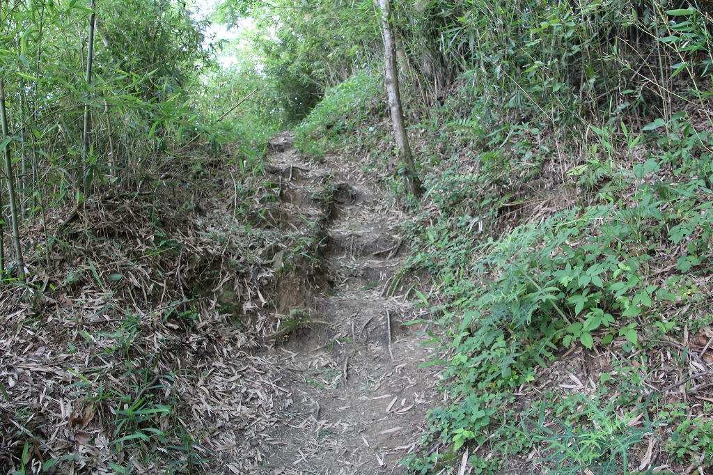 b0162728_8222396.jpg
