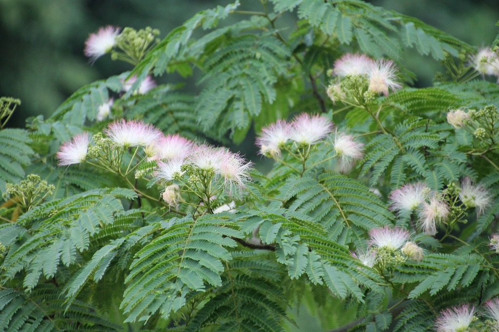 b0162728_8234488.jpg