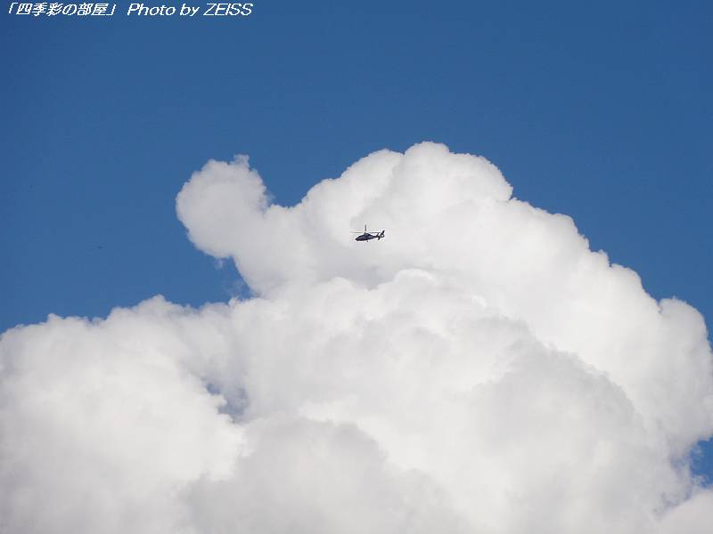 a0195032_20351040.jpg