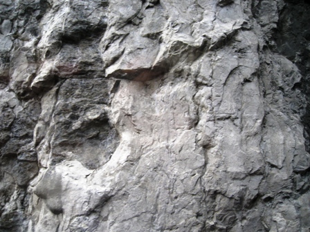 c0175339_11453741.jpg