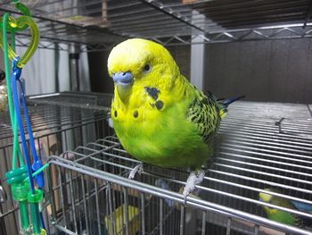 f0196665_8413081.jpg
