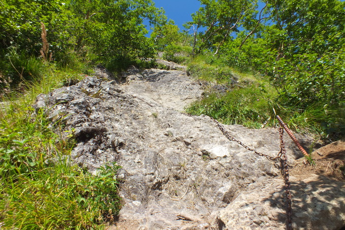 a0040879_2057968.jpg