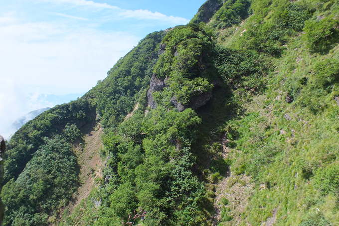 a0040879_21195555.jpg