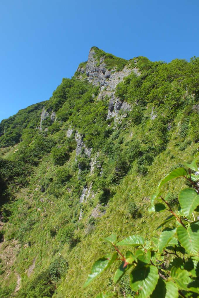 a0040879_21202760.jpg