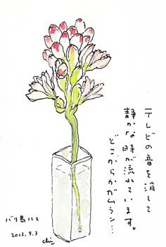 a0030594_23204541.gif