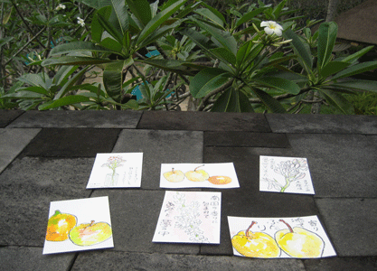a0030594_23311077.gif