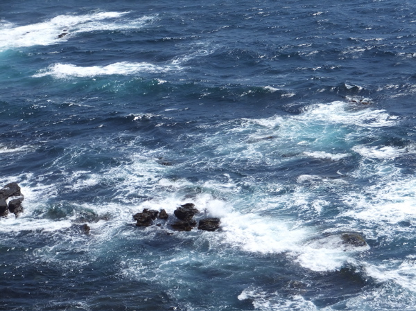 b0213497_8164968.jpg