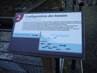 e0209900_12474439.jpg