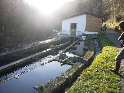 e0209900_12483320.jpg