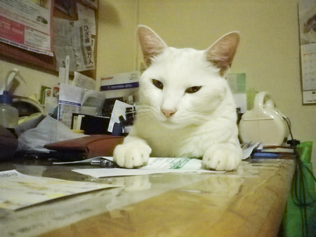 f0239100_22233146.jpg