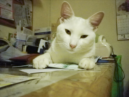 f0239100_22273846.jpg
