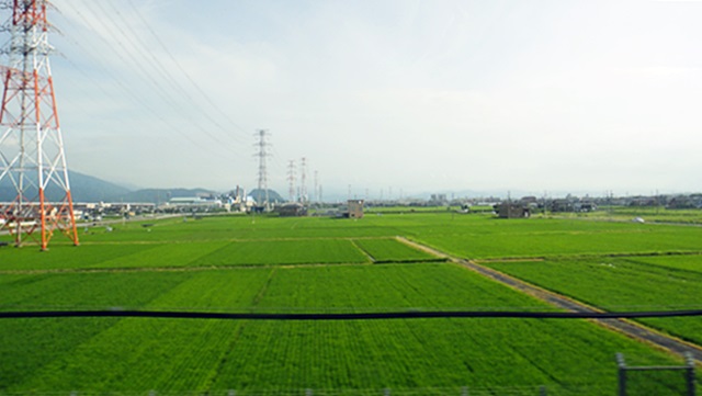 d0004301_2394375.jpg