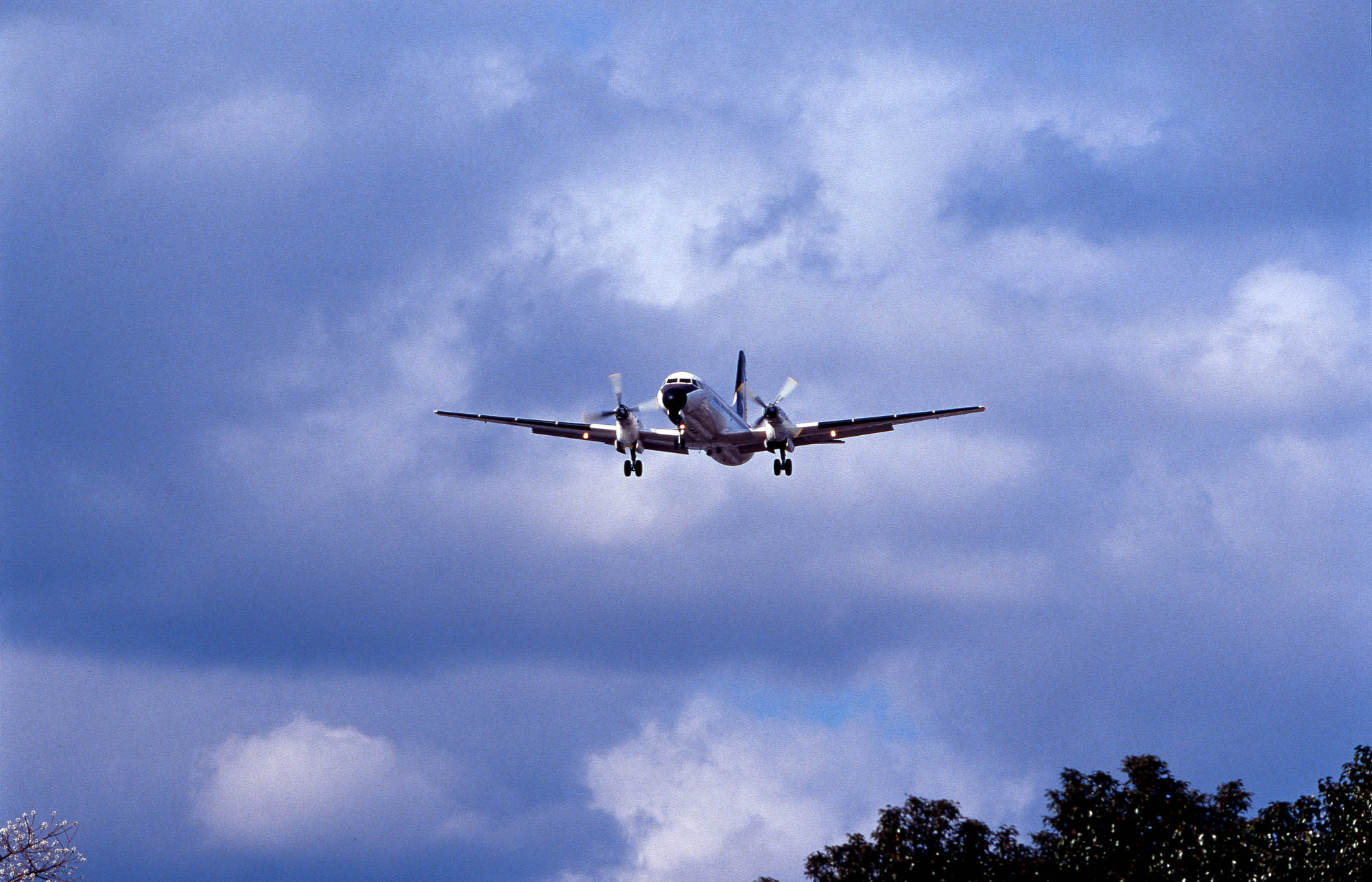 f0083903_19244618.jpg