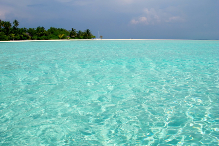 d0298808_17531942.jpg
