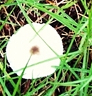 e0098908_21474926.jpg