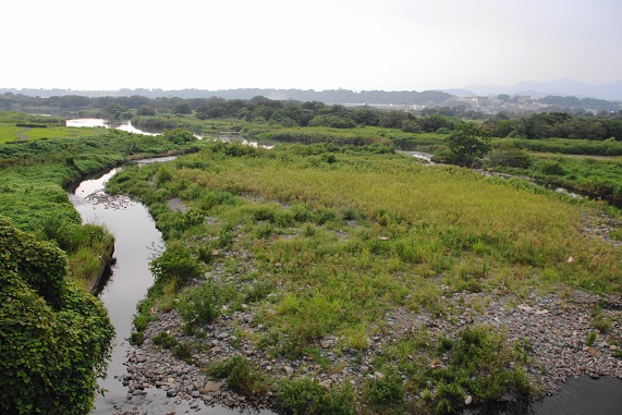 e0123808_166210.jpg
