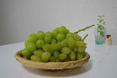 c0279611_1358236.jpg