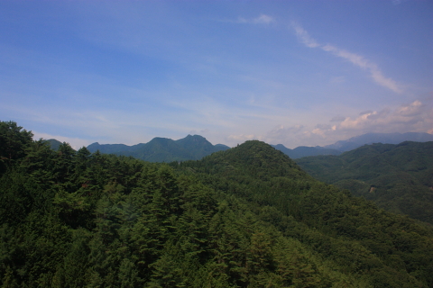d0077811_1463795.jpg