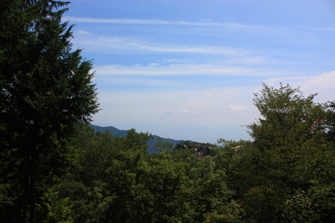 d0077811_1471082.jpg