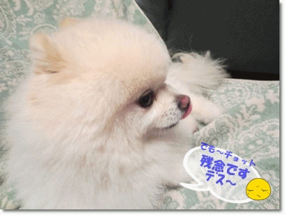 b0167519_22274666.gif