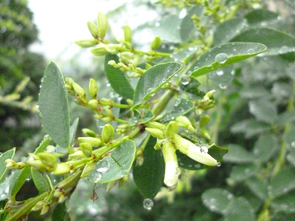 f0228619_9574151.jpg