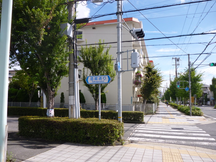 c0059521_1749125.jpg