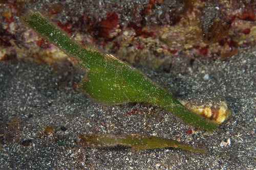 f0206424_10203881.jpg