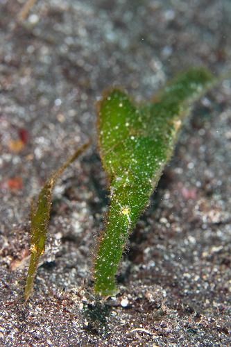 f0206424_1021572.jpg