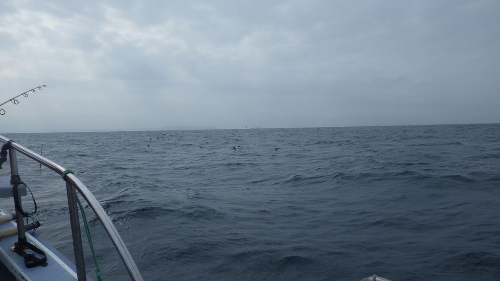 b0173629_22271822.jpg
