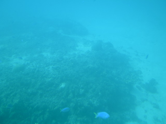 a0085632_2101687.jpg