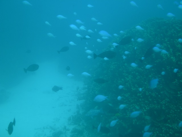 a0085632_2104585.jpg