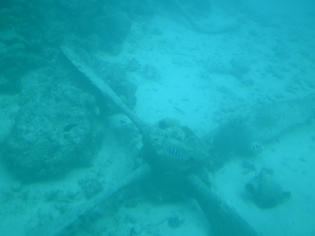a0085632_2112274.jpg