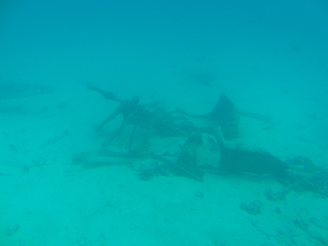 a0085632_2113937.jpg